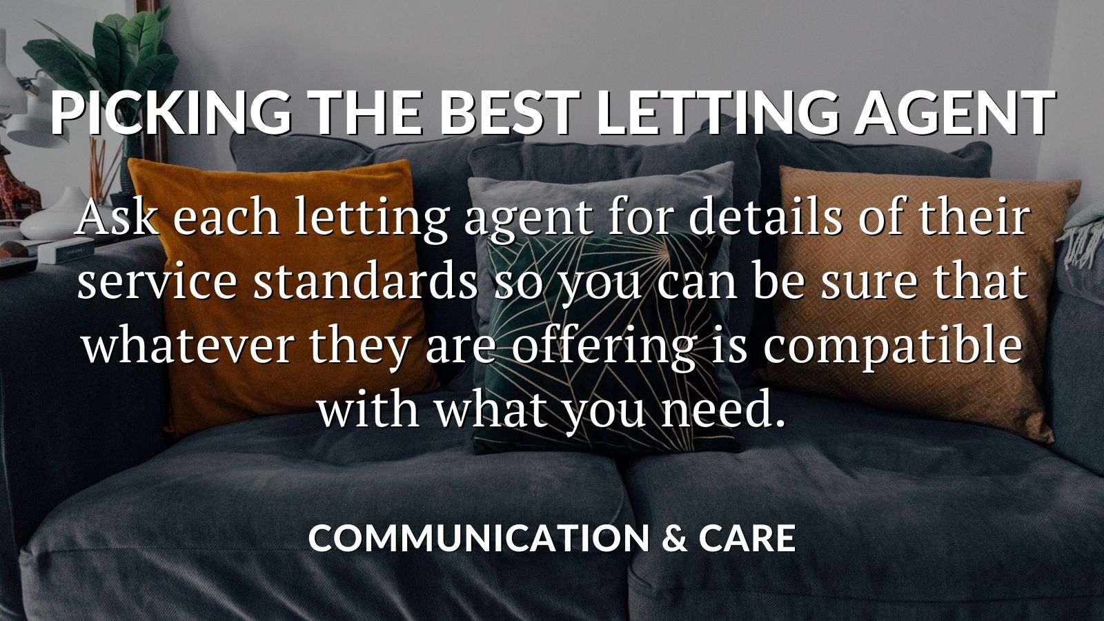 Twitter communication & care