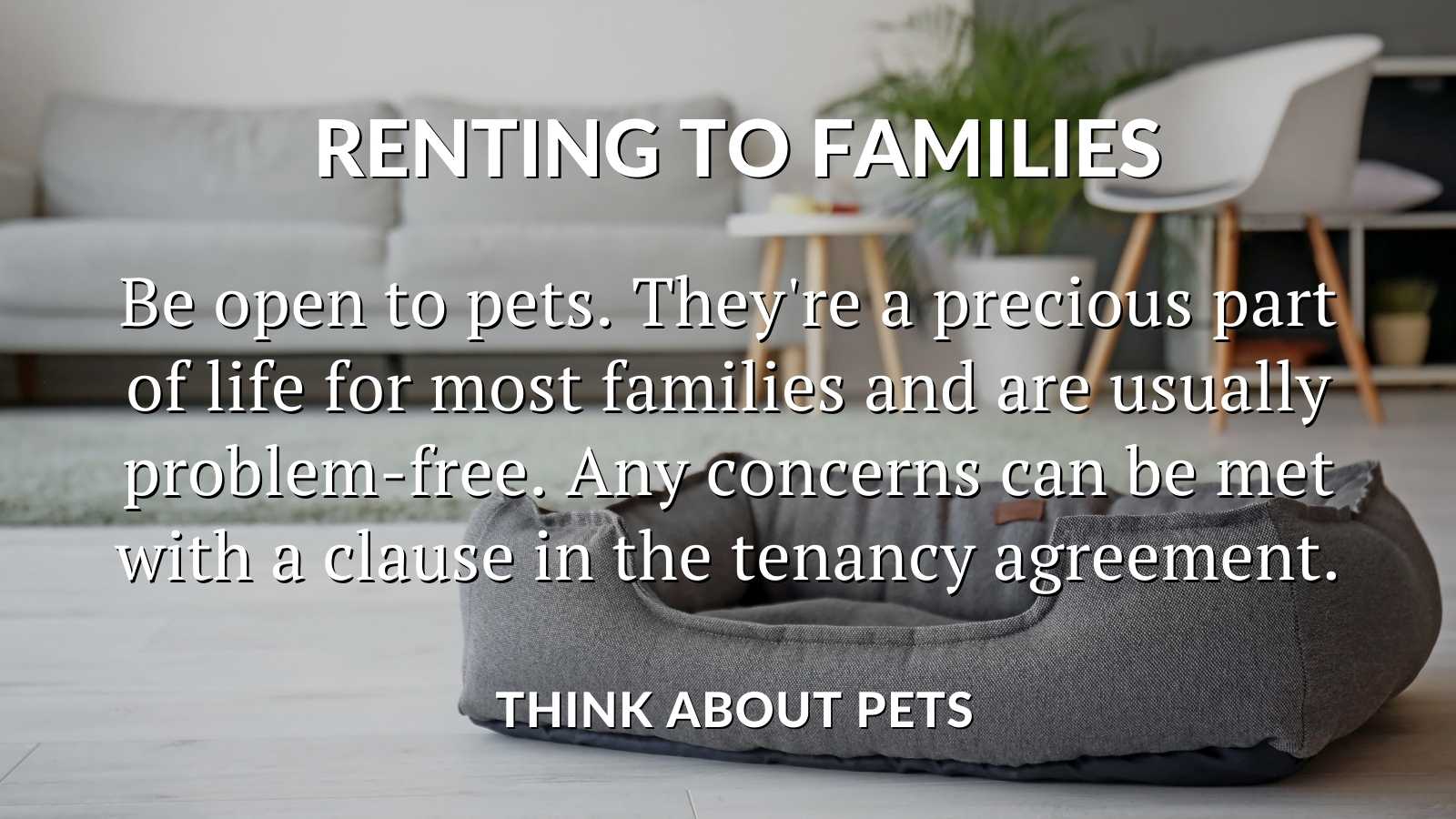TWITTER & BLOG SECTION THINK ABOUT PETS