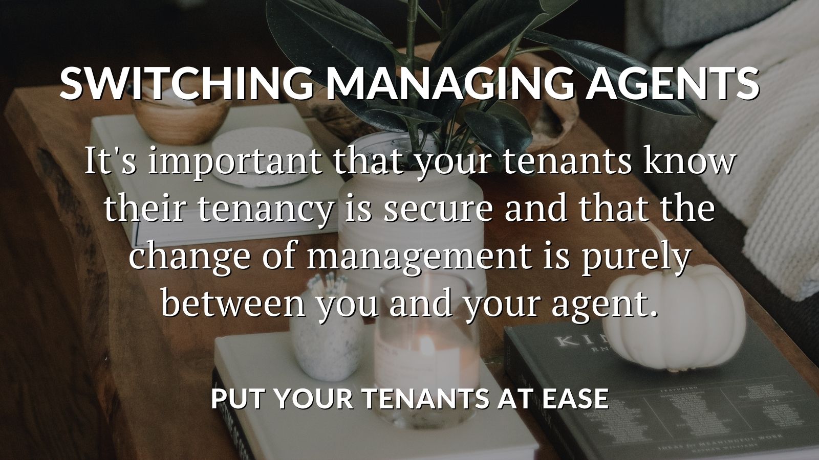 TWITTER & BLOG SECTION PUT YOUR TENANTS AT EASE