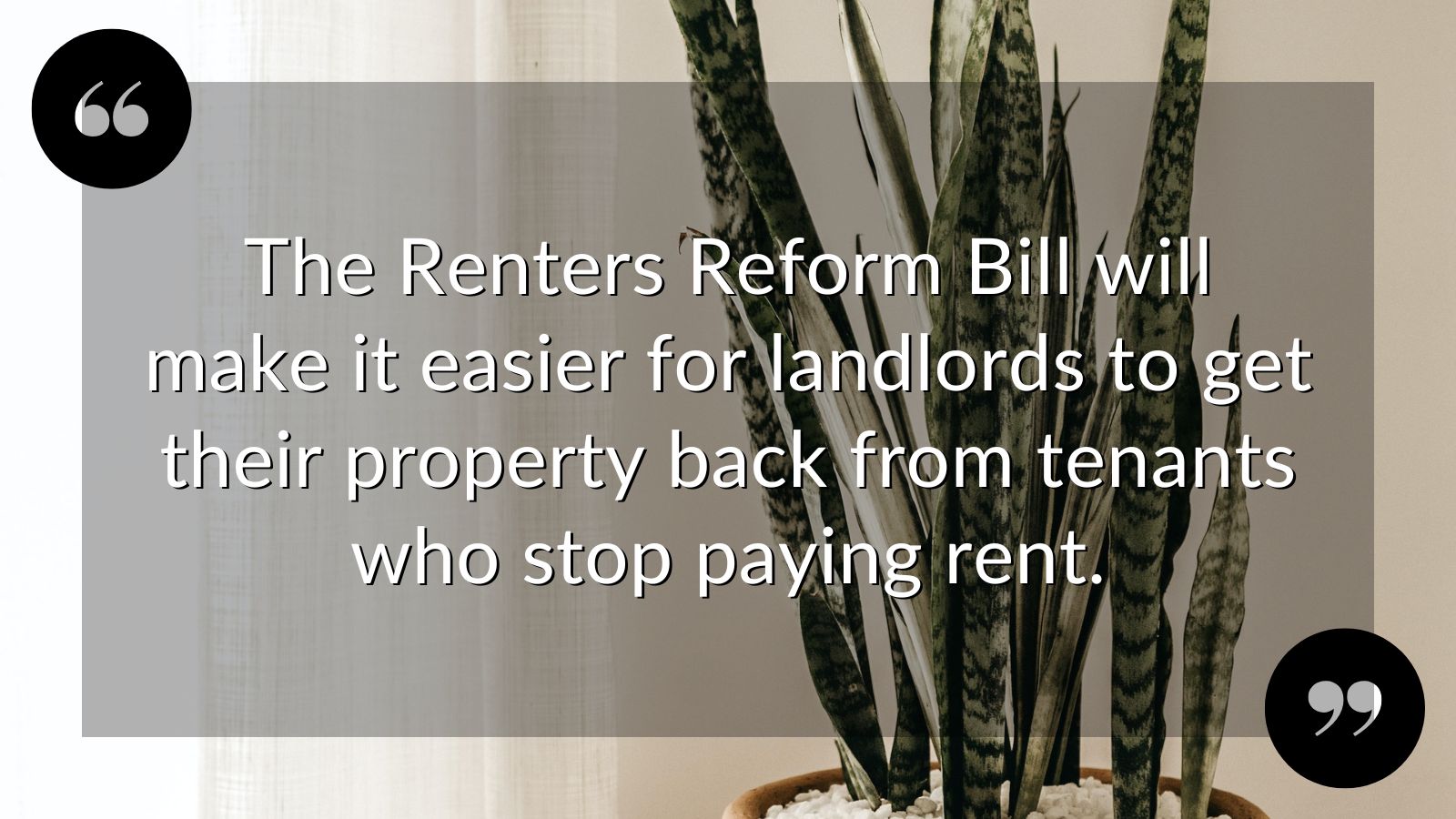 TWITTER - RENTERS (REFORM) BILL OPPORTUNITIES